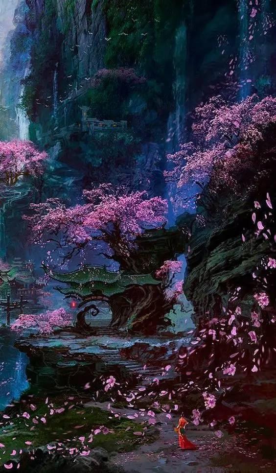 细胞分裂5